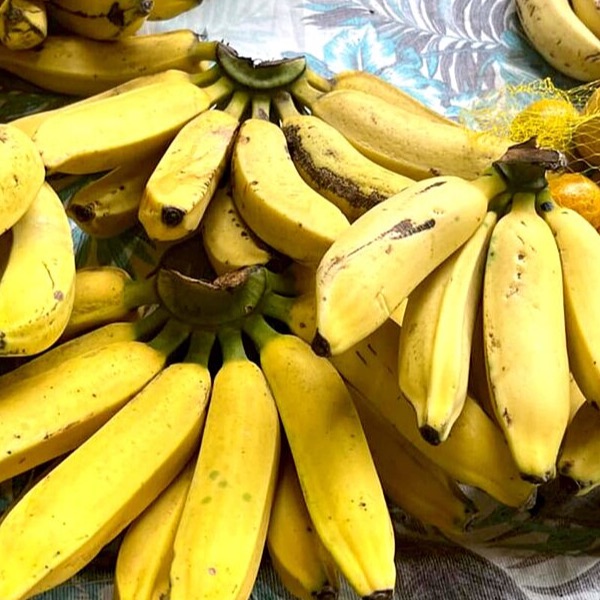 Banana Prata