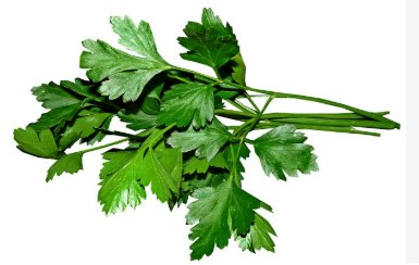 SALSA UNIDADE