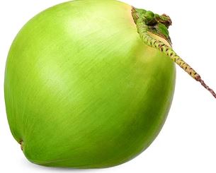 COCO VERDE 1 UN