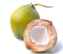 COCO VERDE 1 UN