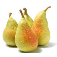 PERA ERCULINE KG