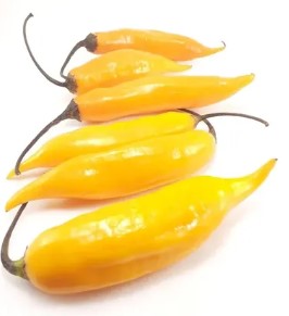PIMENTA AMARELA DEDO DE MOCA BAND