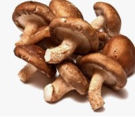 COGUMELO SHITAKE 200 G INTEIRO