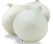 CEBOLA BRANCA KG