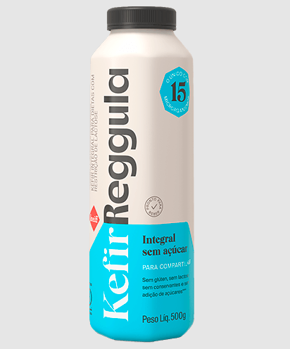 KEFIR REGGULLAD INT S/ACUCAR 500G