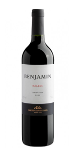 VINHO NIETO SENETINER BENJAMIN CABERNET 750ML