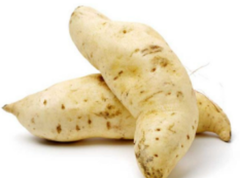 BATATA DOCE BRANCA KG