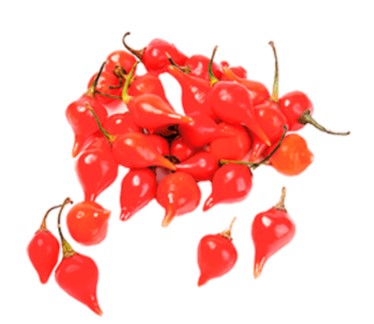 PIMENTA BIQUINHO 100G .