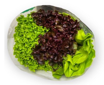 ALFACE CRESPA VERDE E ROXA 160G