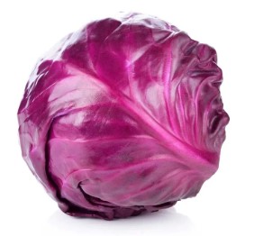 REPOLHO ROXO KG