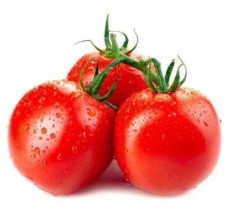 TOMATE 1KG