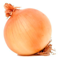 CEBOLA 1KG