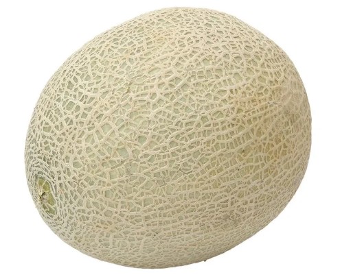 MELAO CANTALOUPE KG